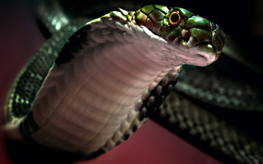 769848 (a): :2560x1600